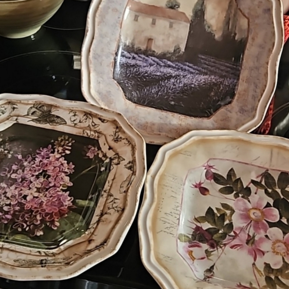 ×3 Fine China Decorative floral landscape plate Set Modern Appluance Safe
